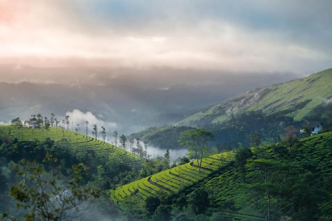 Vaga Mist Resort Vagamon Idukki India
