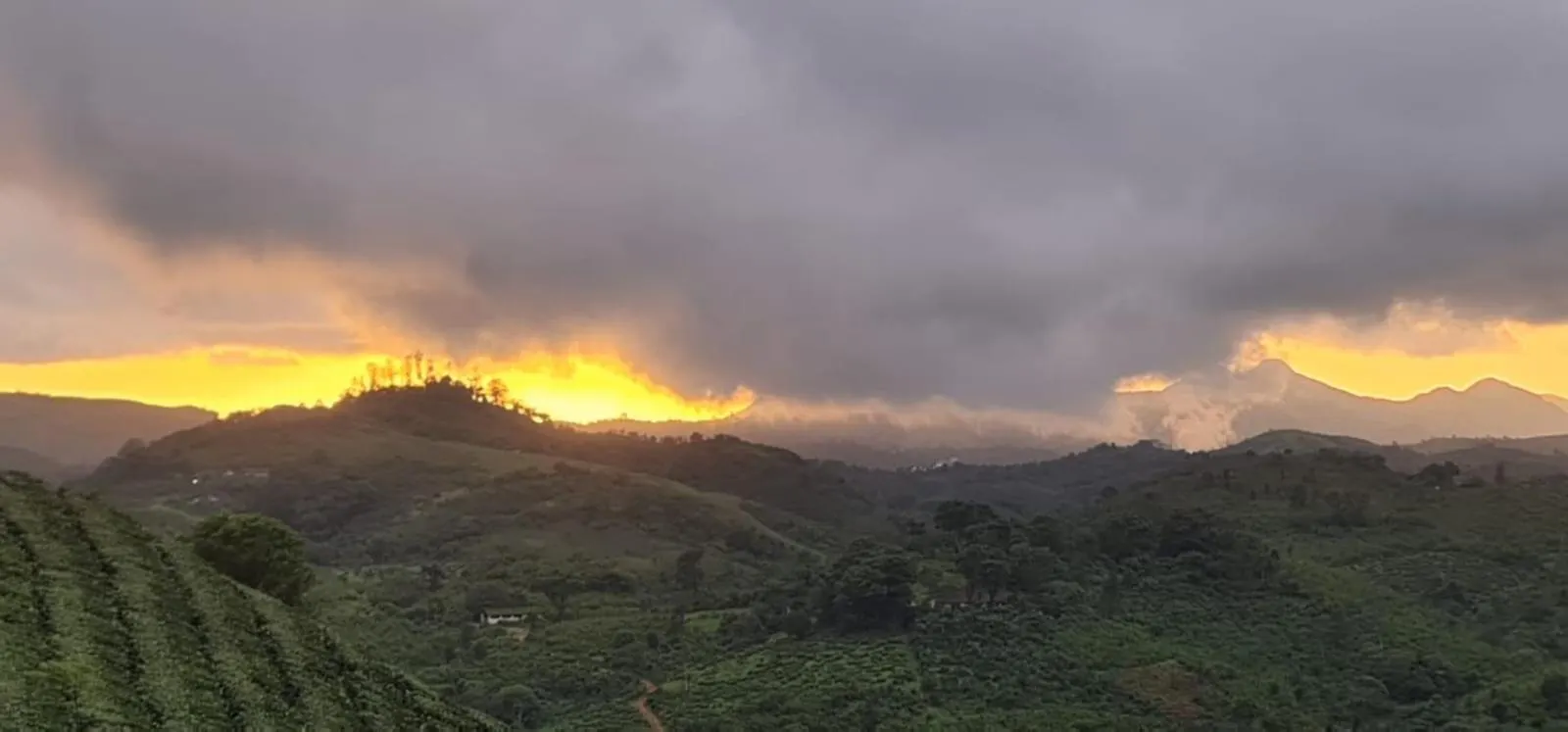 Vaga Mist Resort Vagamon Idukki Hotel